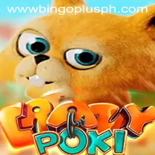 CrazyPoki: The Exciting World of Bingo Plus